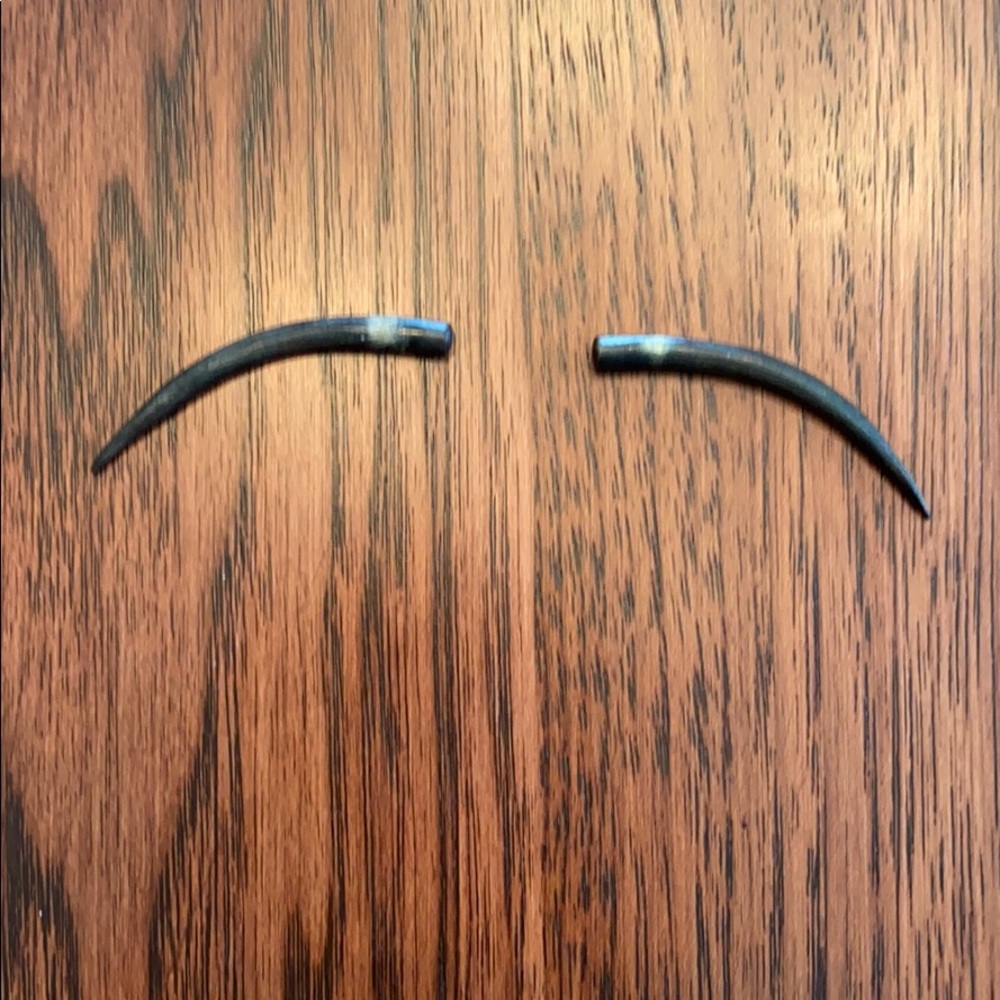 Carved horn earrings